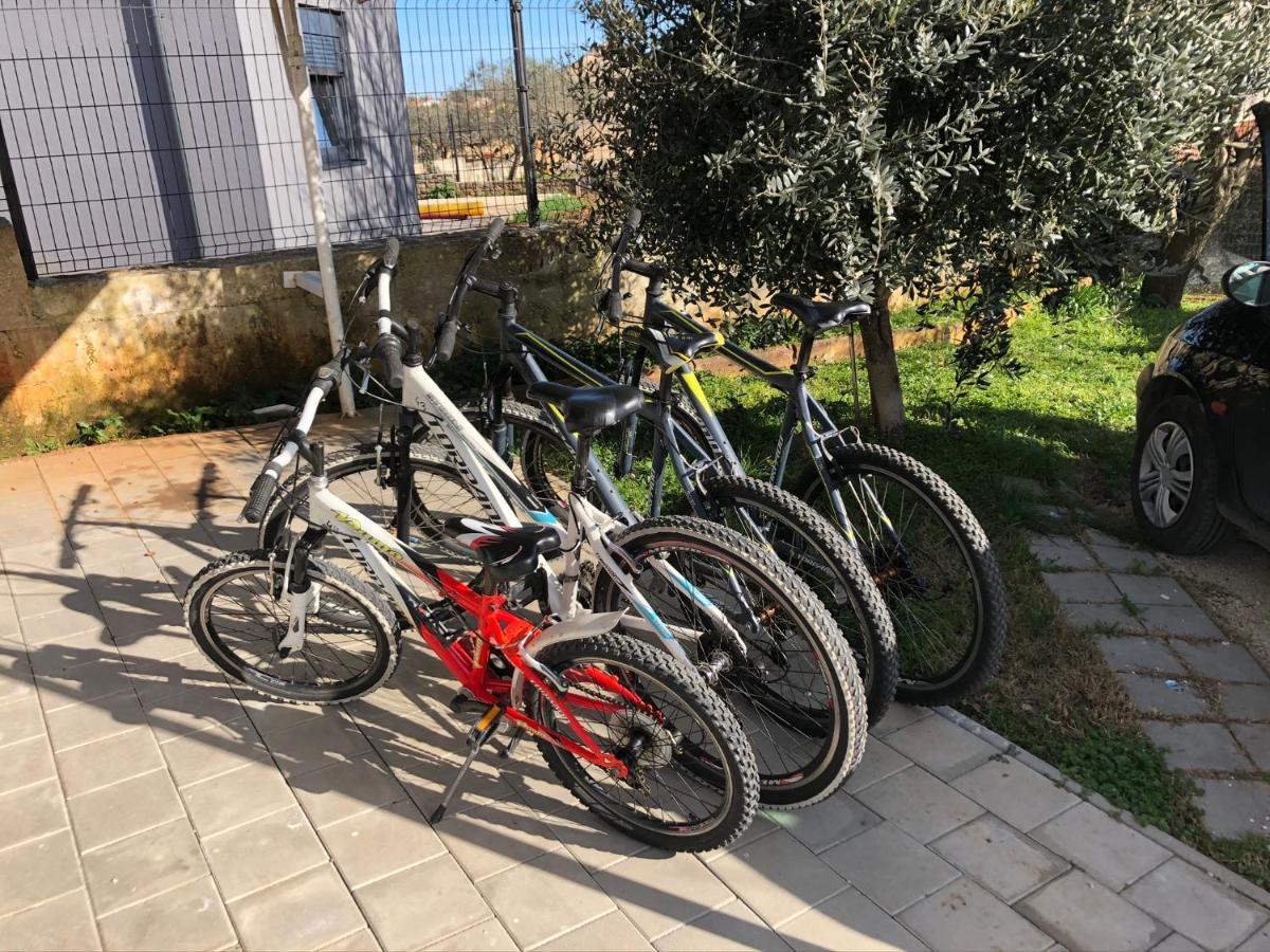 Apartment MADIS&Free Bikes Pula Buitenkant foto